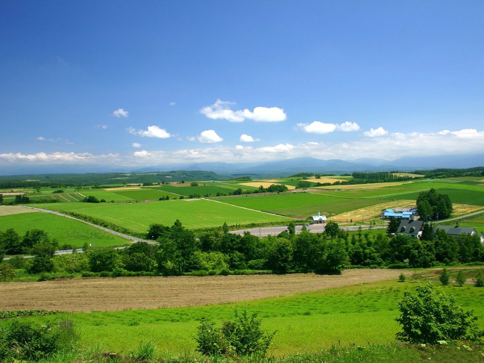 日本北海道美瑛拼布之路田野风光