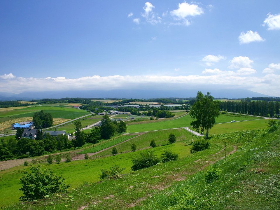 日本北海道美瑛夏季田野风光