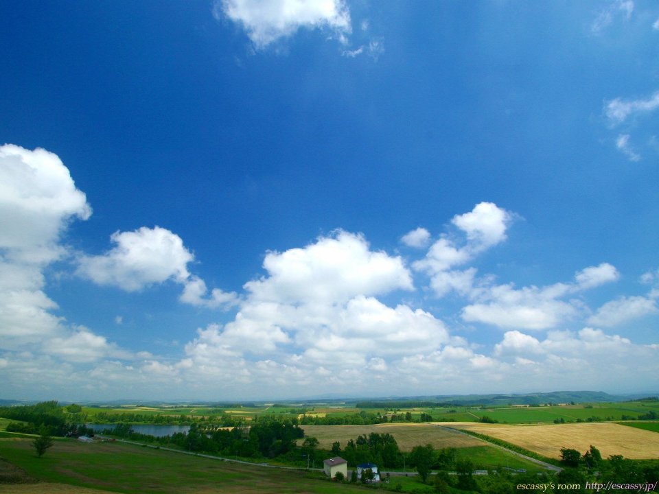 日本北海道夏季田野蓝天白云
