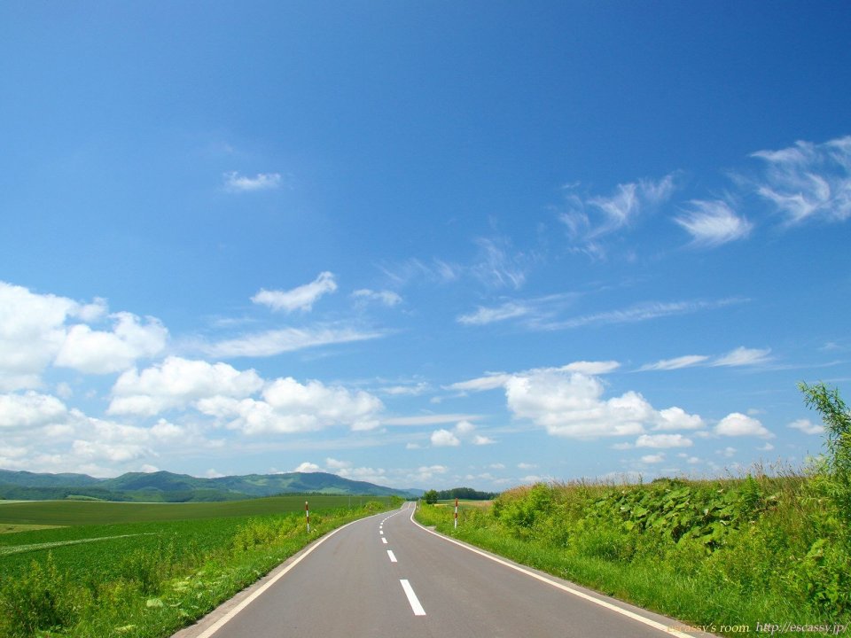 日本北海道夏季乡村公路风景