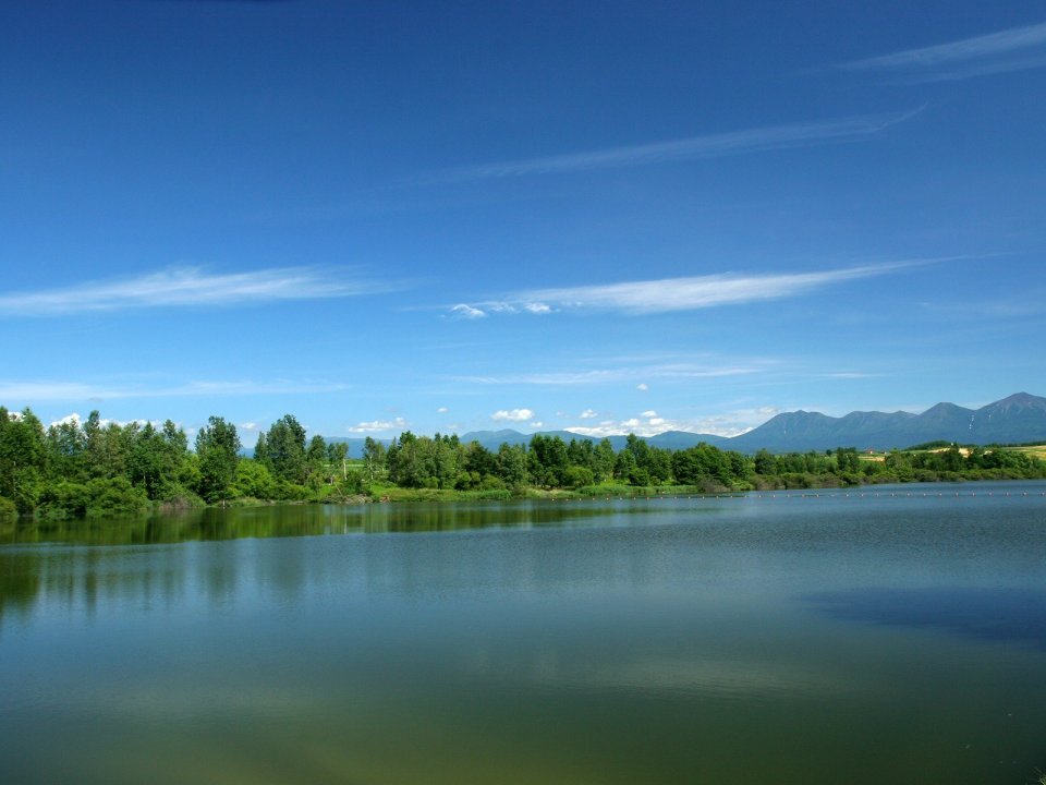 夏日宁静湖泊与远山风光