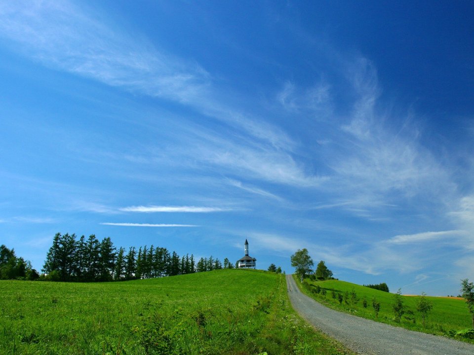 日本北海道美瑛丘陵与凉亭