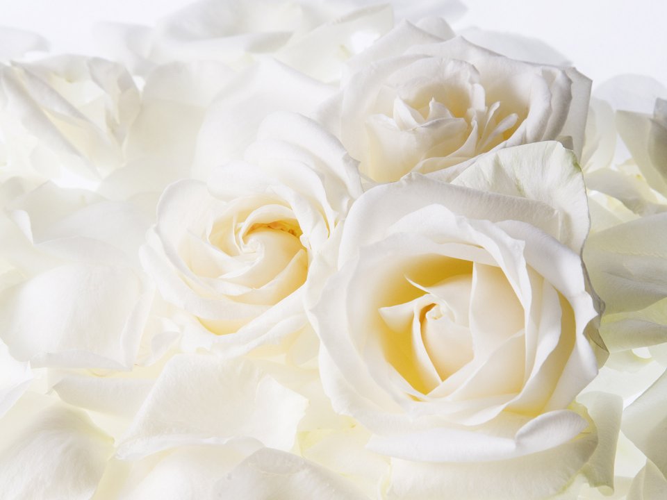 3HR127_350A_Wedding_Fowers