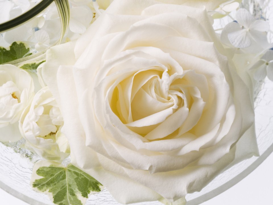 3HR128_350A_Wedding_Fowers
