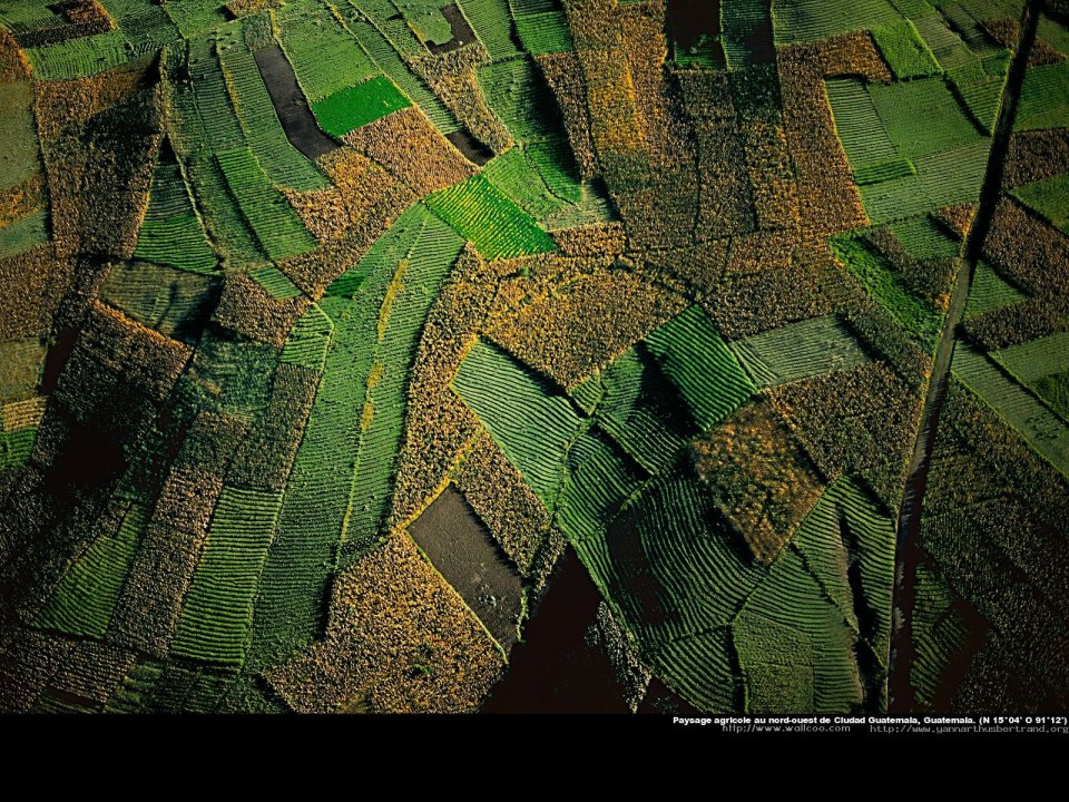 Agricultural landscape in north-west of Guatemala City near Quiche,Guatemala