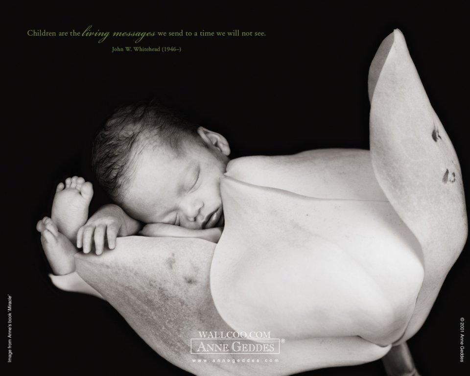 AnneGeddes_Wallpaper1280_164