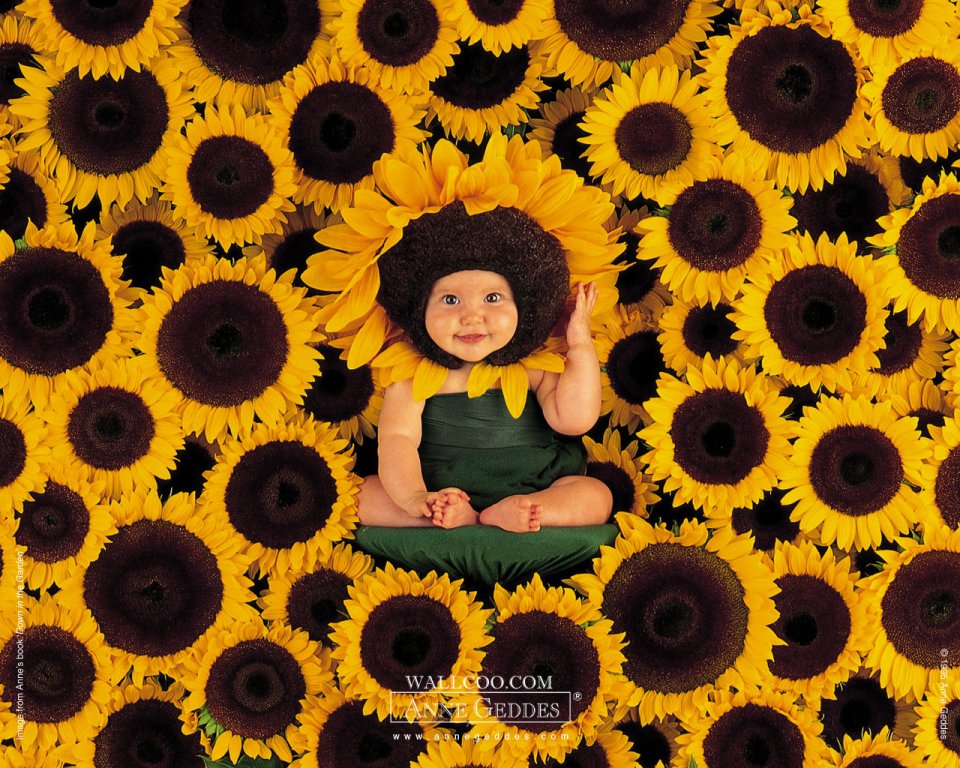 AnneGeddes_Wallpaper1280_168a