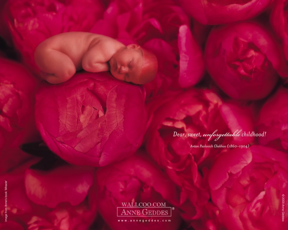AnneGeddes_Wallpaper1280_185
