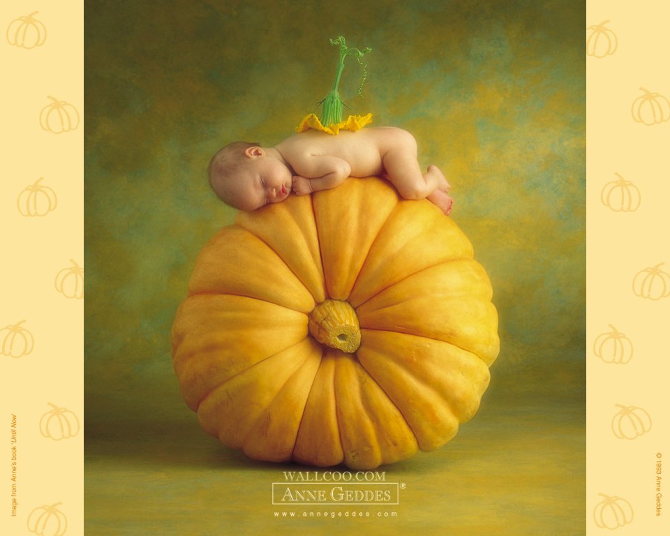 AnneGeddes_Wallpaper1280_186