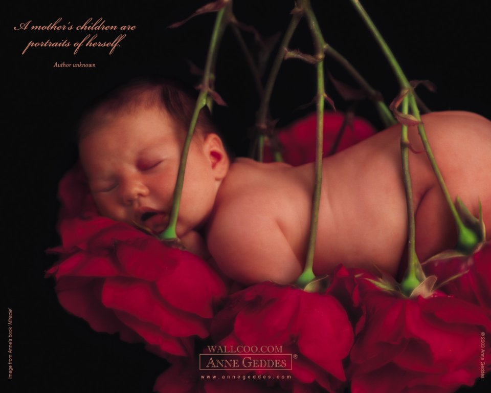 AnneGeddes_Wallpaper1280_201