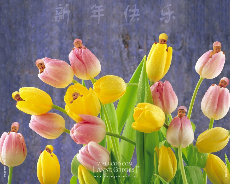 AnneGeddes_Wallpaper1280_220