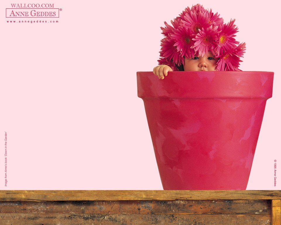 AnneGeddes_Wallpaper1280_235