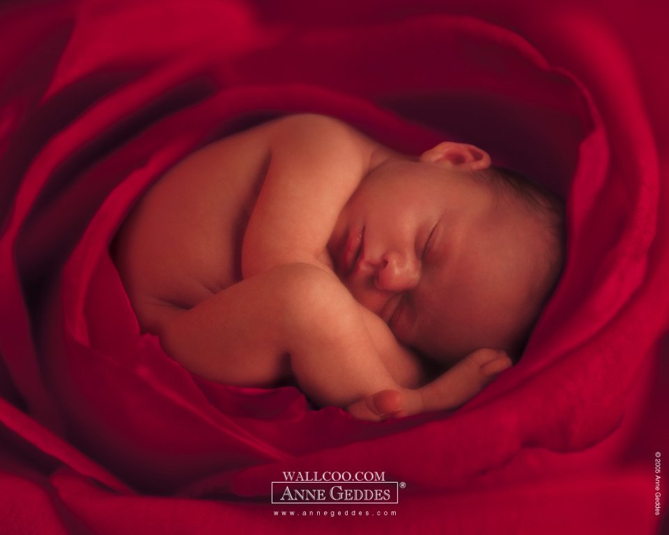 AnneGeddes_Wallpaper1280_42