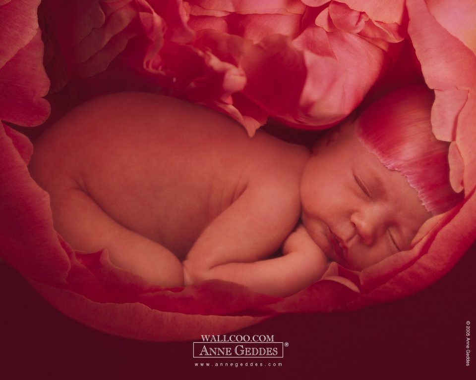 AnneGeddes_Wallpaper1280_44