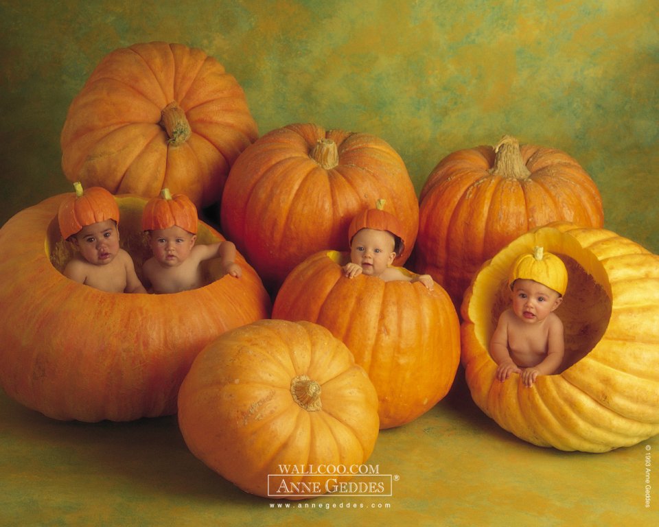 AnneGeddes_Wallpaper1280_70