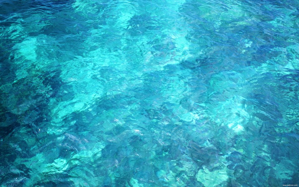 Bali_01071