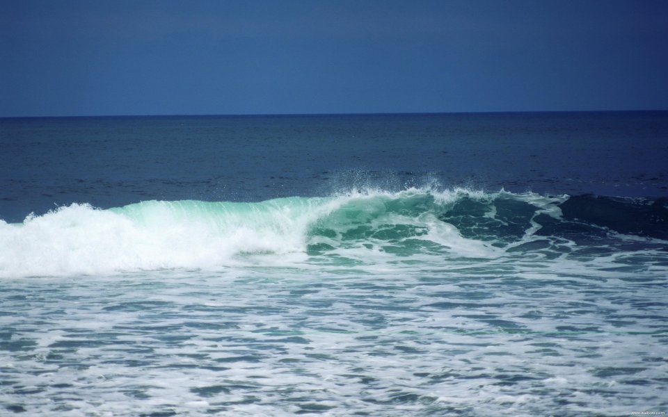 Bali_01077