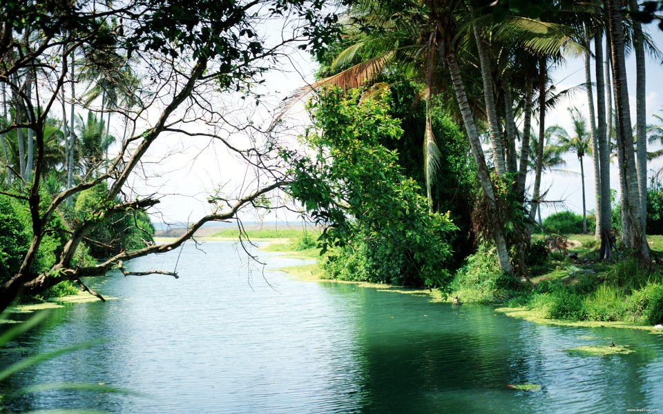 Bali_02065