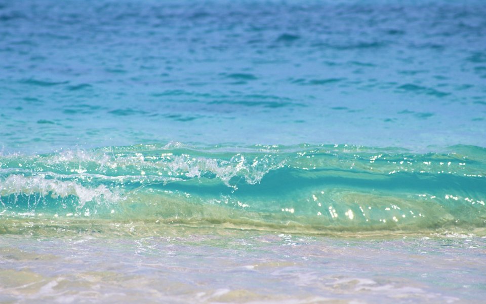 Beach_and_Sea_of_Hawaii_JY158_350A
