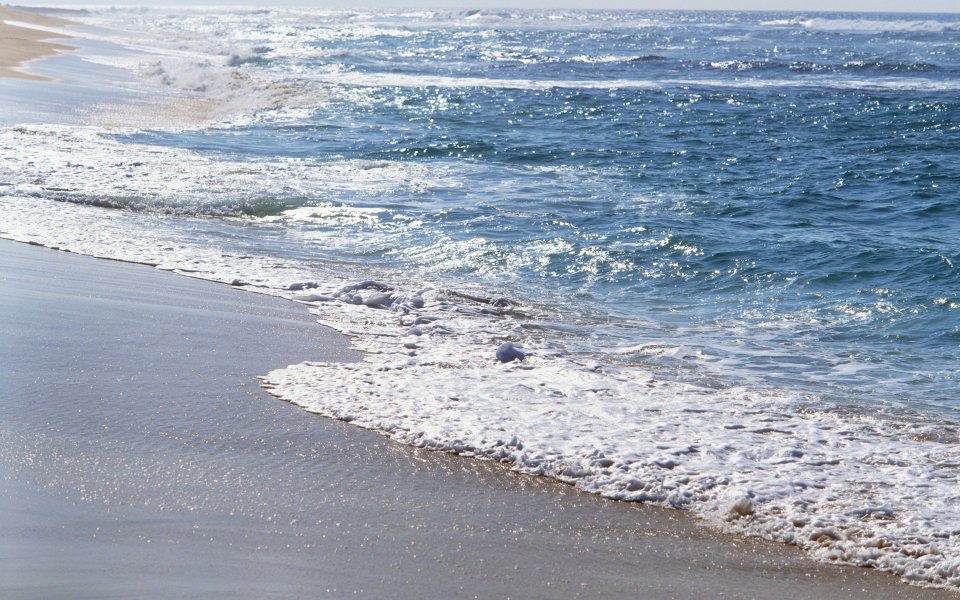 Beach_and_Sea_of_Hawaii_JY166_350A