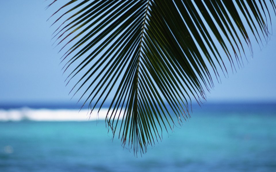 Beach_and_Sea_of_Hawaii_JY173_350A