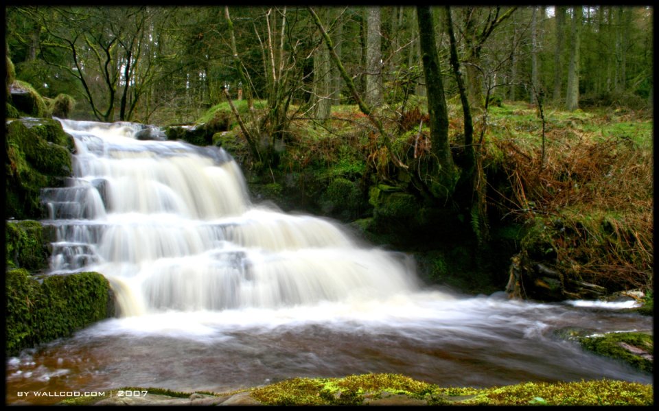 英国威尔士 Blaen-y-Glyn 森林瀑布