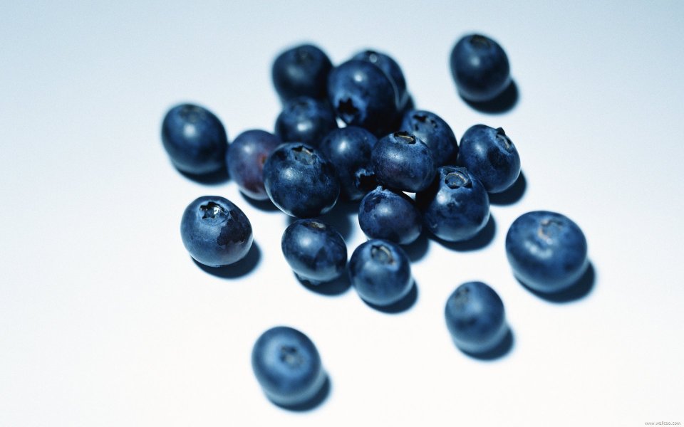 Blueberries, close-up