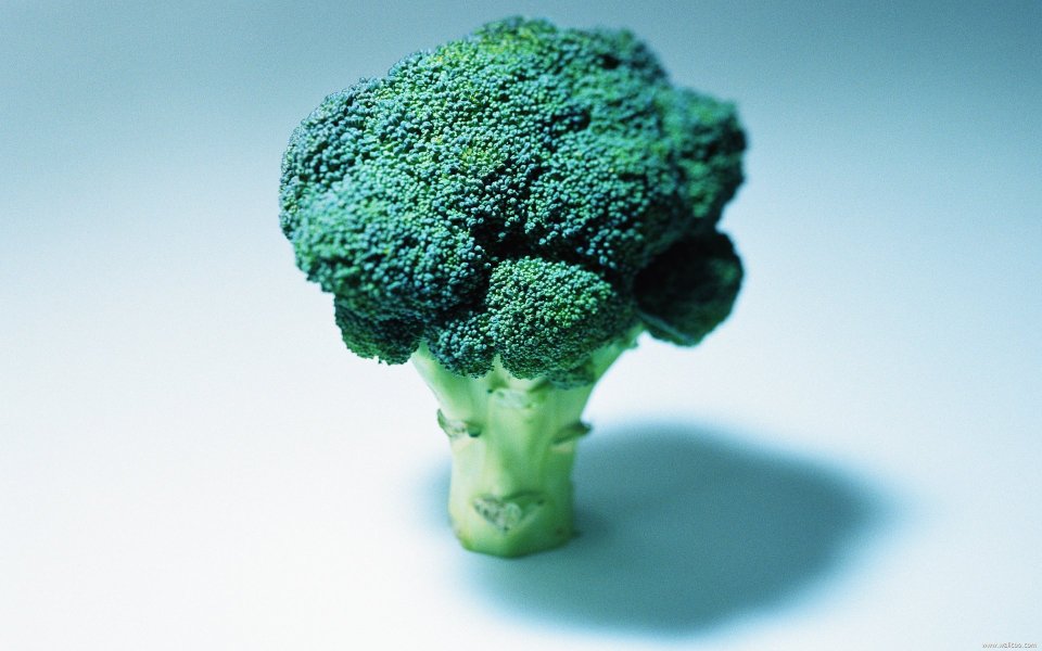 Broccoli, close-up