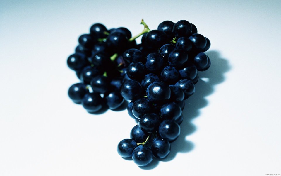 Bunch of black grapes, close-up