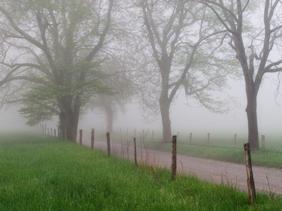 Cades_Cove_in_Early_Spring_Great_Smoky_Mountains_Tennessee