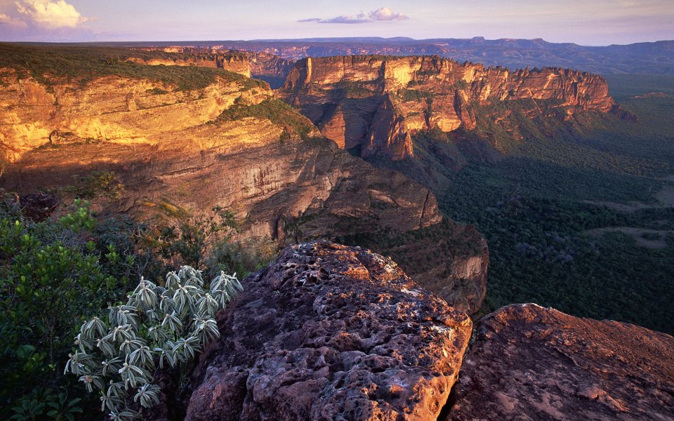 Chapada dos Guimaraes  at Mato Grosso, Brazil