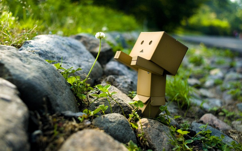 Danbo_Danboard_photo_110629