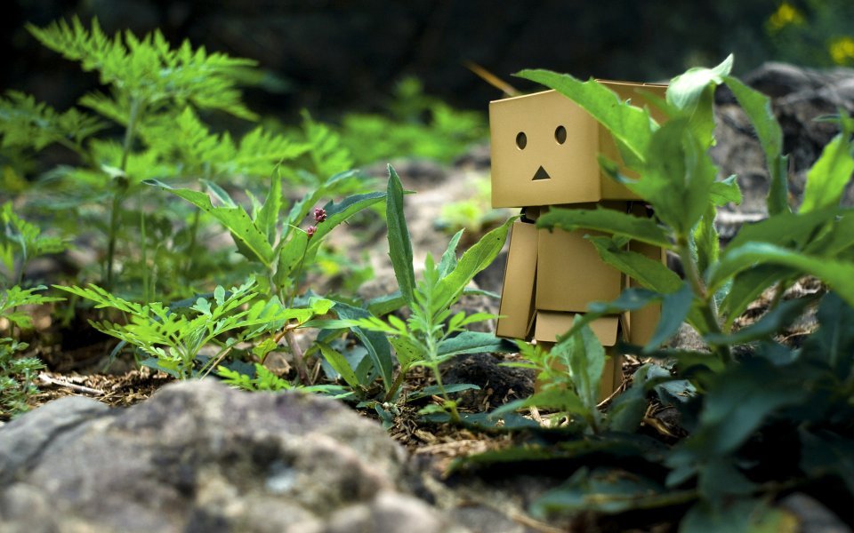 Danbo_Danboard_photo_120730