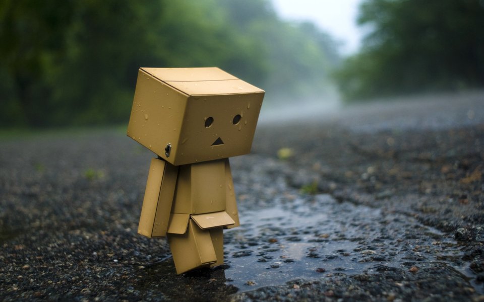 Danbo_Danboard_photo_140932