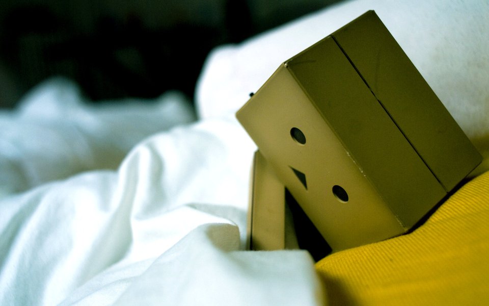 Danbo_Danboard_photo_161134