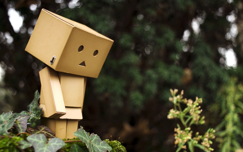 Danbo_Danboard_photo_181336