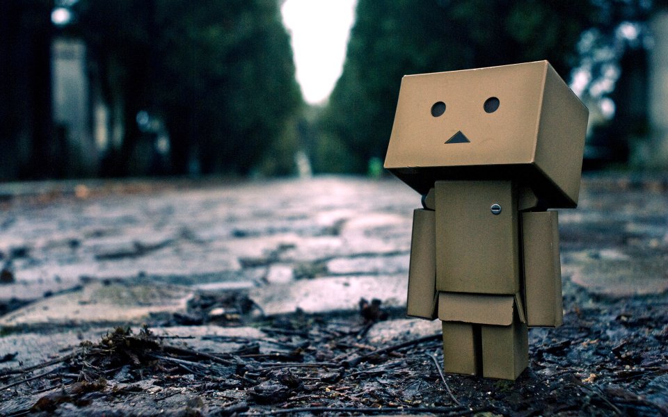 Danbo_Danboard_photo_191437