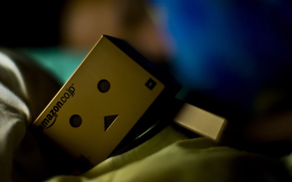 Danbo_Danboard_photo_252043