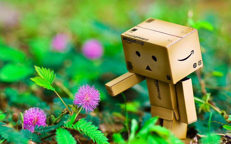 Danbo_Danboard_photo_262144