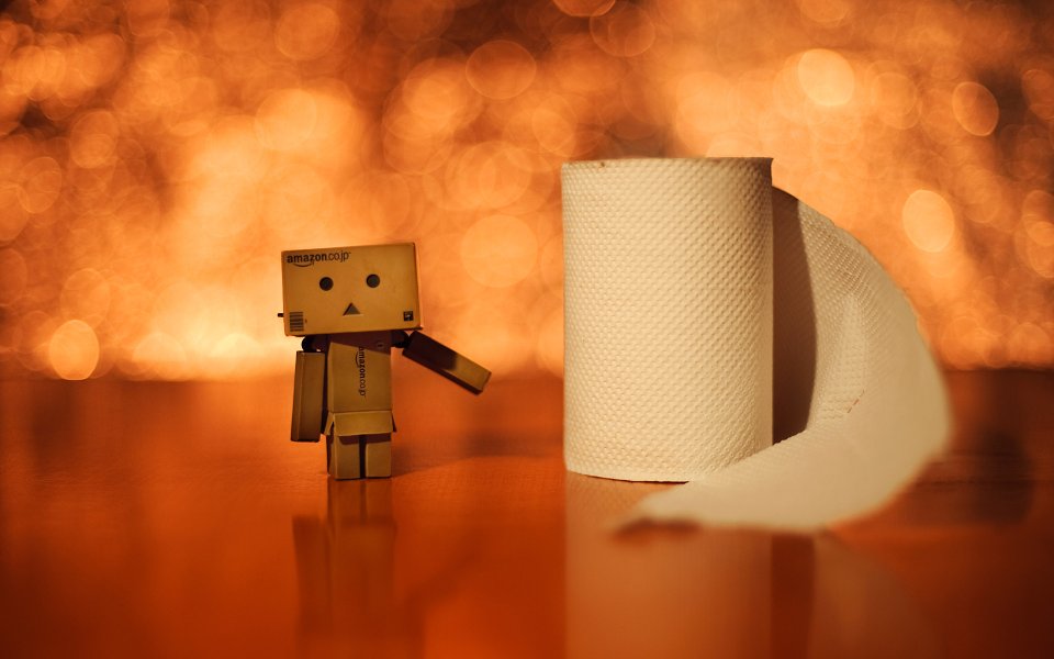 Danbo_Danboard_photo_332851