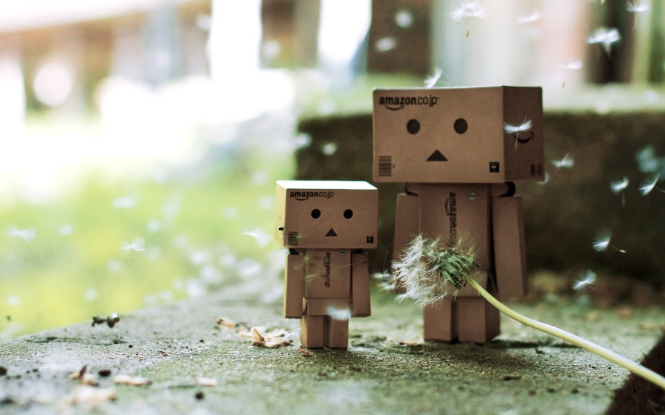 Danbo_Danboard_photo_353053