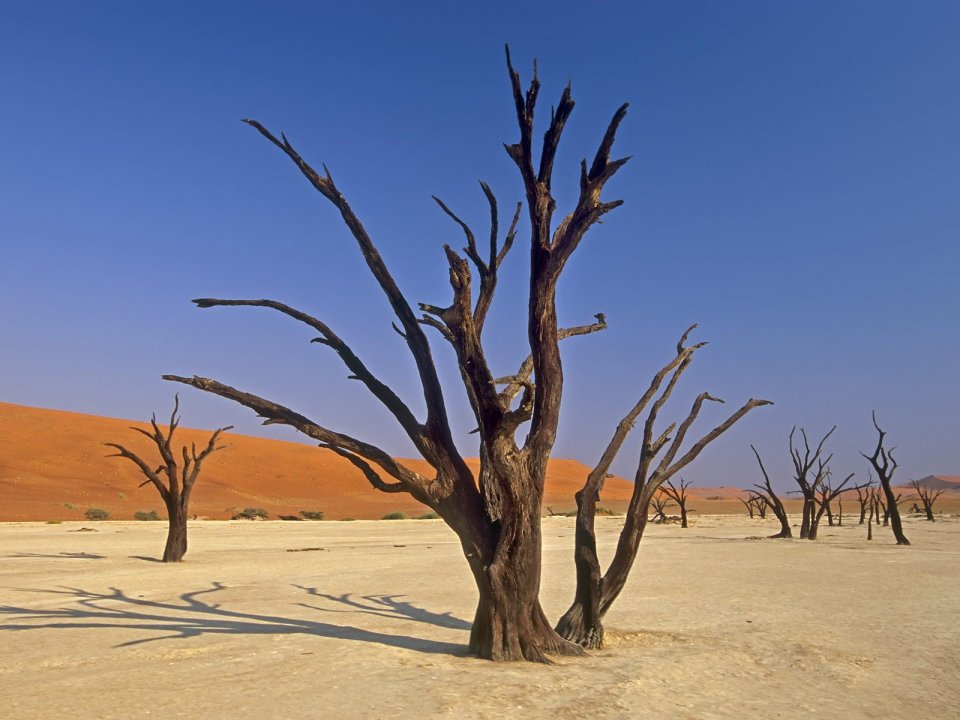 Dead_Vlei_Sossuvlei_National_Park_Namibia_Africa