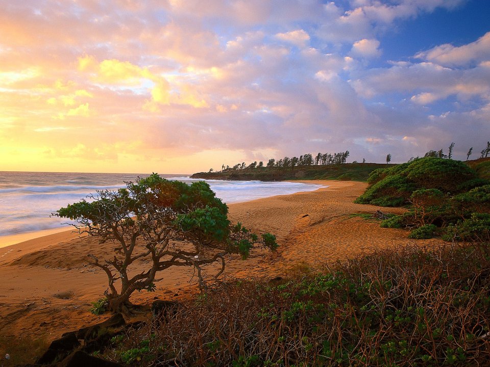 Donkey_Beach_Kauai_Hawaii