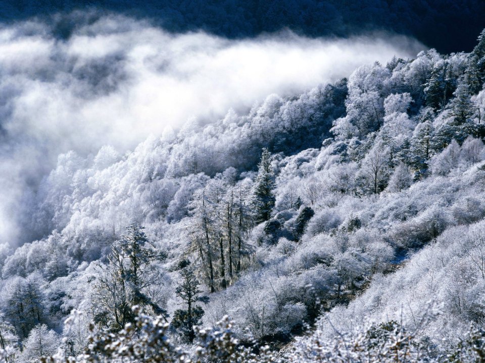 冬季雪山雾凇云海景观