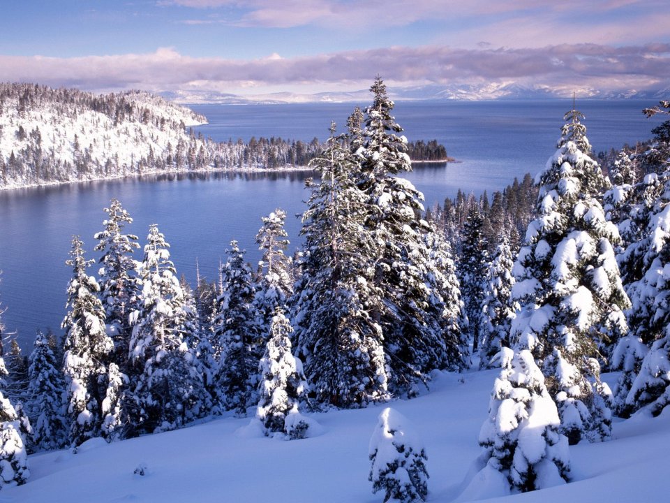 冬季雪景针叶林与高山湖泊