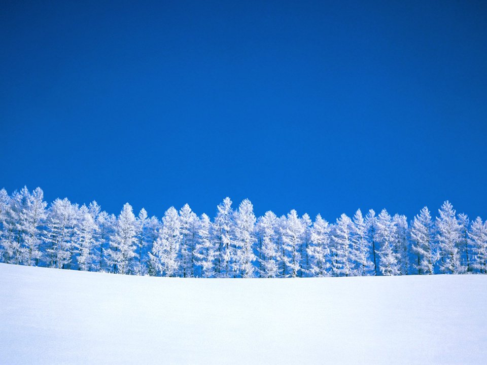 冬日雪景与雾凇树林