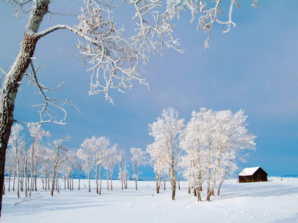 冬日雪景中的孤独木屋与雾凇