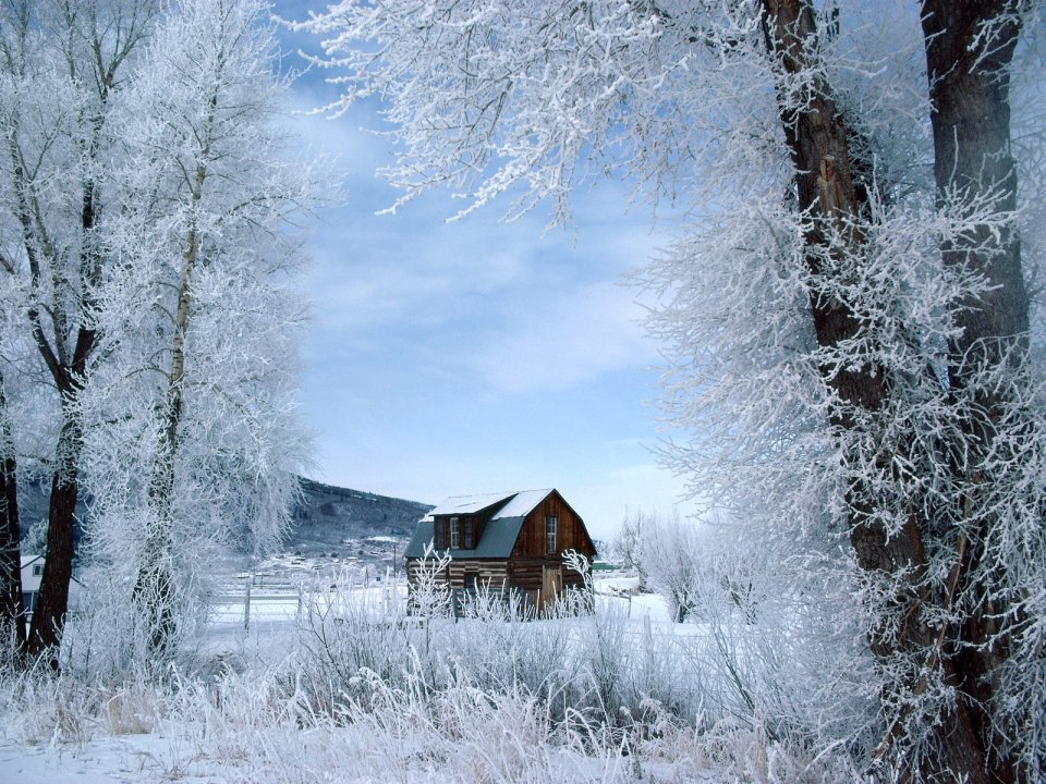 Winter Landscapes: Romantic Snowy Scenes