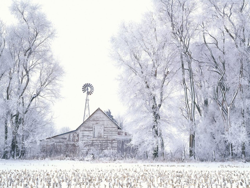 冬日雪景中的乡村木屋与风车