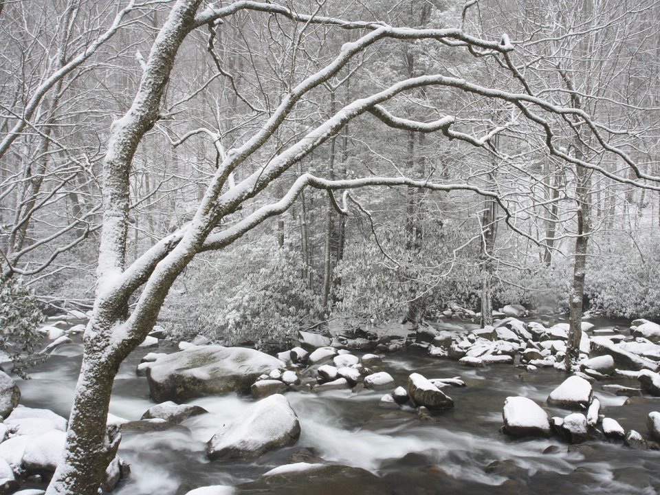 冬季森林雪景溪流